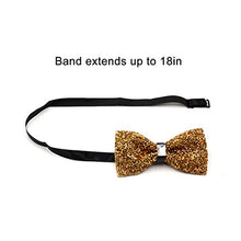 Load image into Gallery viewer, i-VTIES Pre-Tied Bow Tie,Satin,Men's Rhinestone,Crystal Premium Metallic,Gold,Adjustable Length