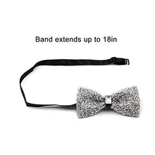 Load image into Gallery viewer, i-VTIES Pre-Tied Bow Tie,Satin,Men's Rhinestone,Silver and Gold,Adjustable Length