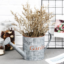 Load image into Gallery viewer, CEDAR HOME Metal Planter Flower Pot Succulent Container Garden Bucket for Indoor or Outdoor Balcony Patio Watering Can with Handle, 12.25"W x 5"D x 5.5"H, Silver