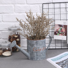 Load image into Gallery viewer, CEDAR HOME Metal Planter Flower Pot Succulent Container Garden Bucket for Indoor or Outdoor Balcony Patio Watering Can with Handle, 12.25"W x 5"D x 5.5"H, Silver